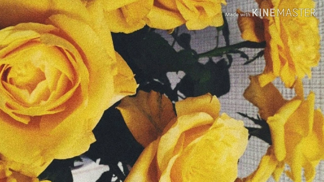 Cavetown - Juliet // Lyrics