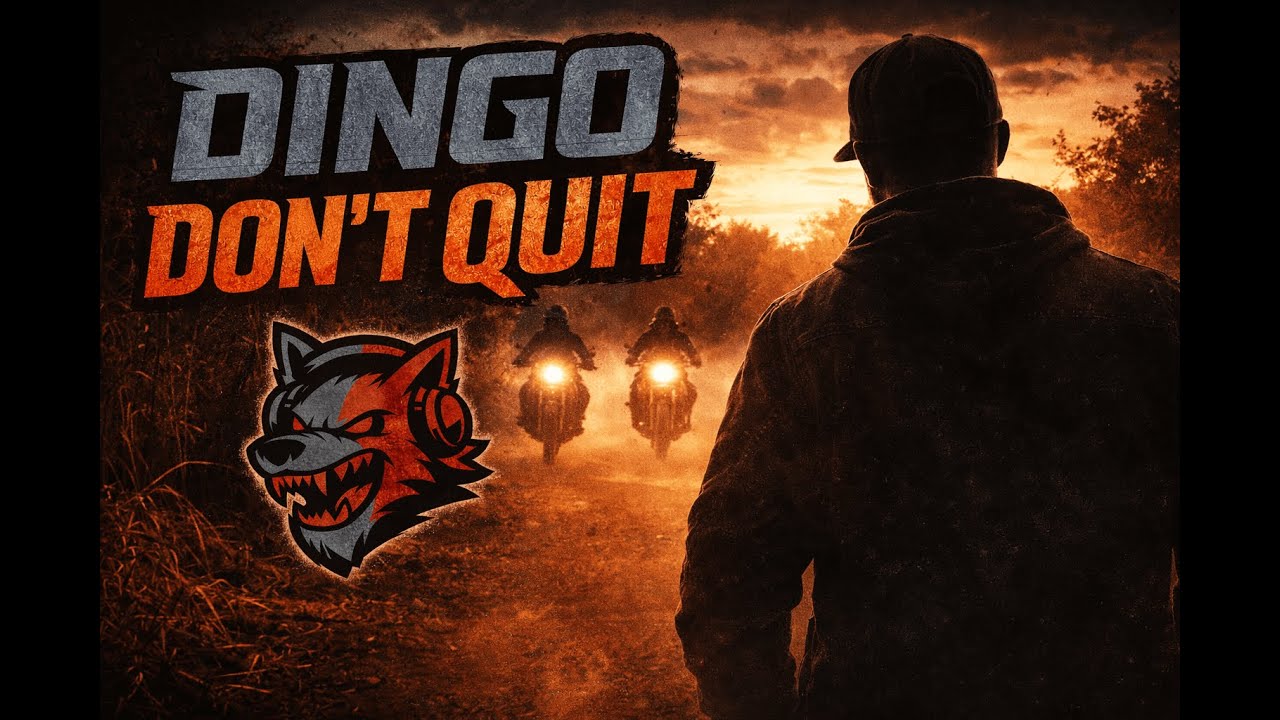 Dingo Don’t Quit | Dingo Music | Official Music Video