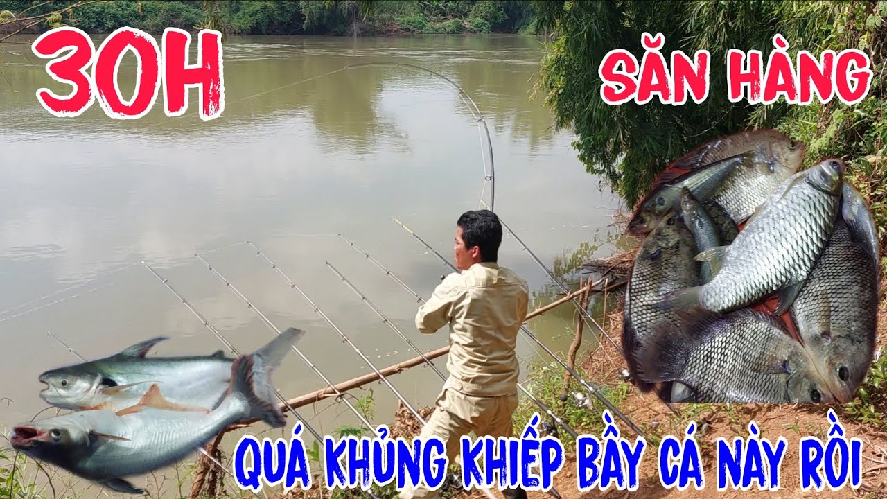 30h Một Mình Vào Rừng Săn Cá Lớn Và Làm Nơi Chú Ẩn Qua Đêm, Quá Khủng Khiếp Bầy Cá Này Rồi...