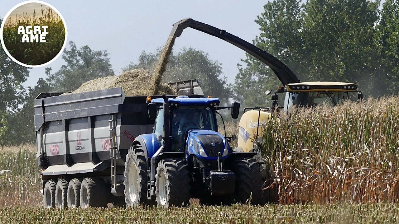 Trinciatura mais | New Holland FR650 | 5x New Holland (T6 - T7) | 1x Landini | Inverardi & Rezzola