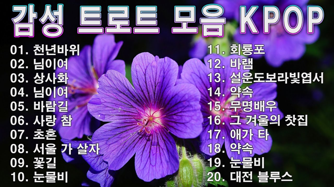감성 트로트 모음 KPOP (TROT) PLAYLIST ☘️ ( 꽃길.상사화.여인의 눈물.회룡포.바람길...) #Kpop