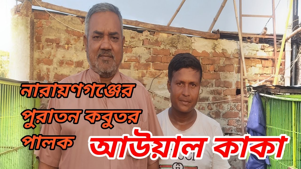 নারায়ণগঞ্জের প্রবীণ কবুতর পালক  আউয়াল কাকা।#mspigeonloft #video #pigeon #racing #kobutorpalon