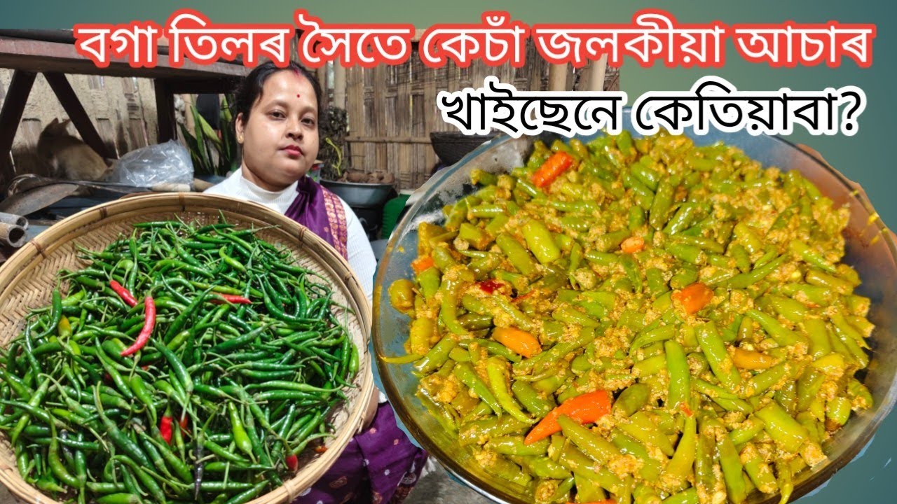 বগা তিলৰ লগত কেচাঁ জলকীয়া আচাৰ || এবাৰ খালে পাহৰিব নোৱাৰিব ইয়াৰ সোৱাদ || Chilli Pickle Recipe 