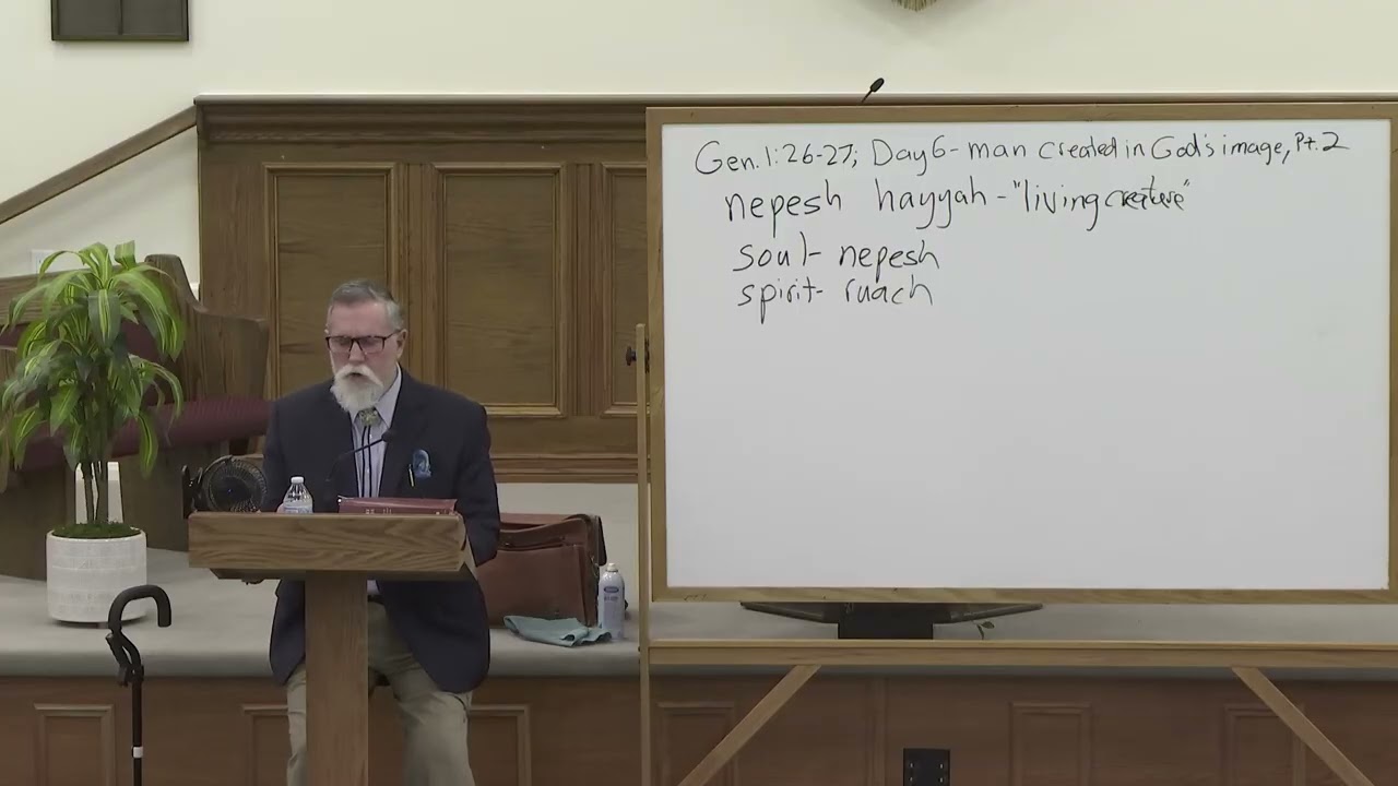 Day 6 - Creation of Man as Image-bearer - Pt. 2