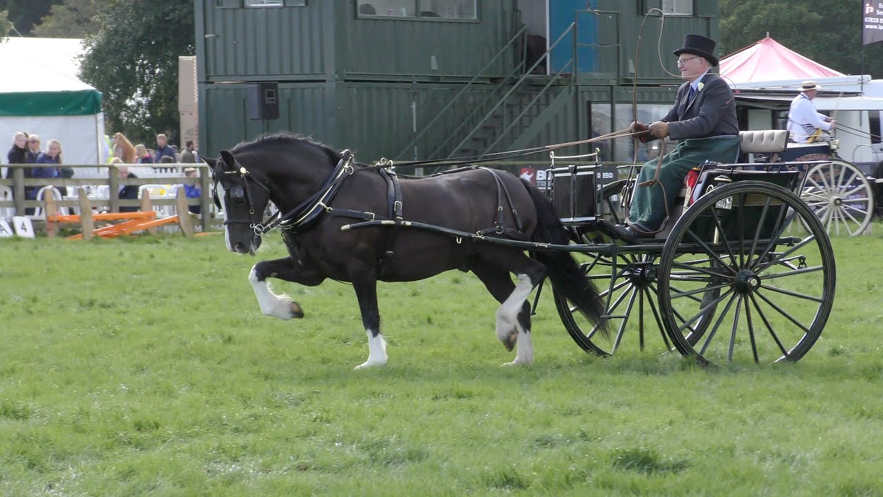 Stokesley show 4K