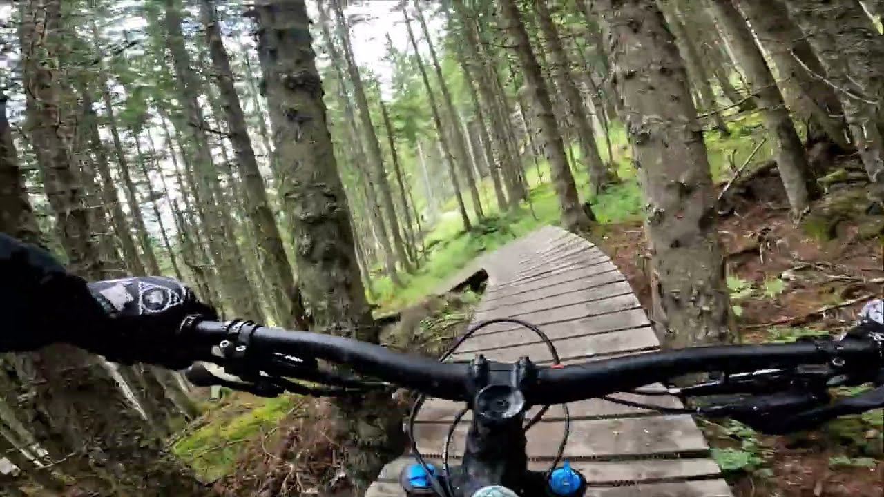 Leogang Bikepark ALTESCHMIEDE TRAIL 2025 10yr David