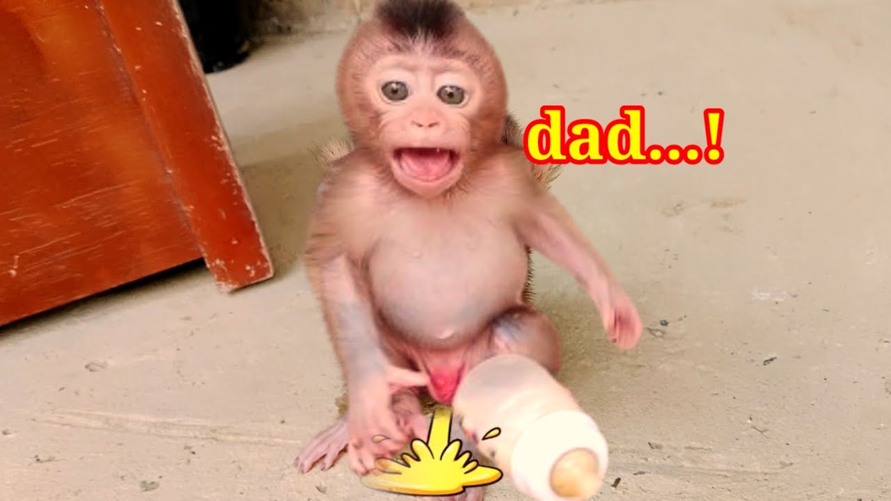call dad to clean..