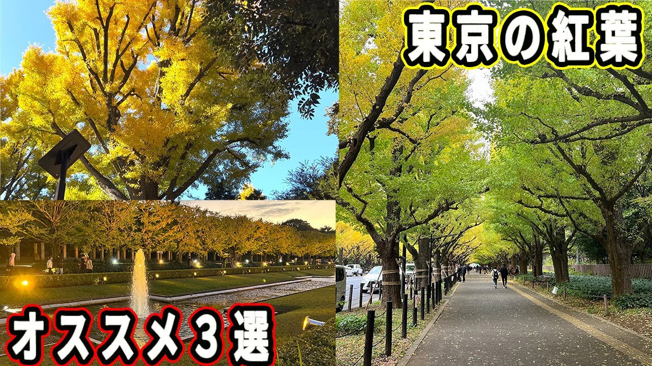 【2025最新】東京の紅葉スポット3選。神宮外苑の現在が凄かった… [4K]