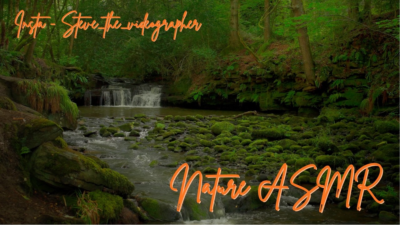 No AI - Escape into the Wild: Cinematic Stream Sound
