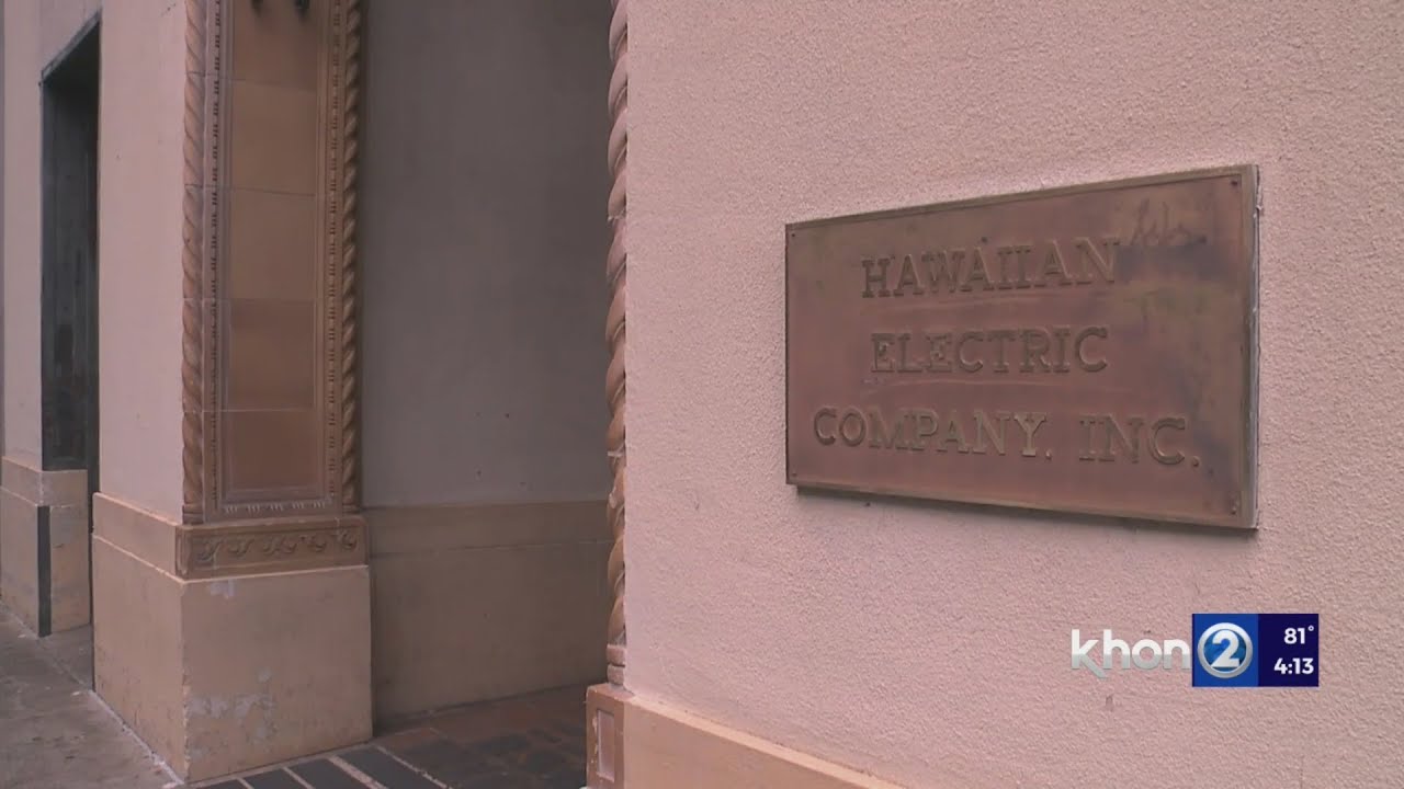 HECO continues special medical needs program