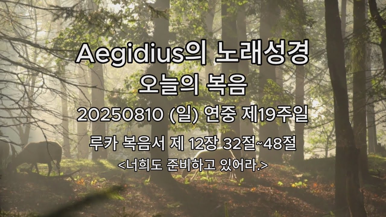 오늘의 복음 20250810 (일) 연중 제 19주일 (너희도 준비하고 있어라.) 루카 복음서 제 12장 32절~48절