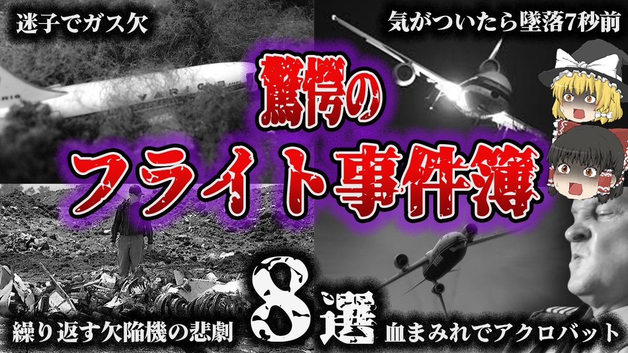 【総集編】空の上で大混乱⁉ありえない！「仰天フライト事件簿8選」【ゆっくり解説】