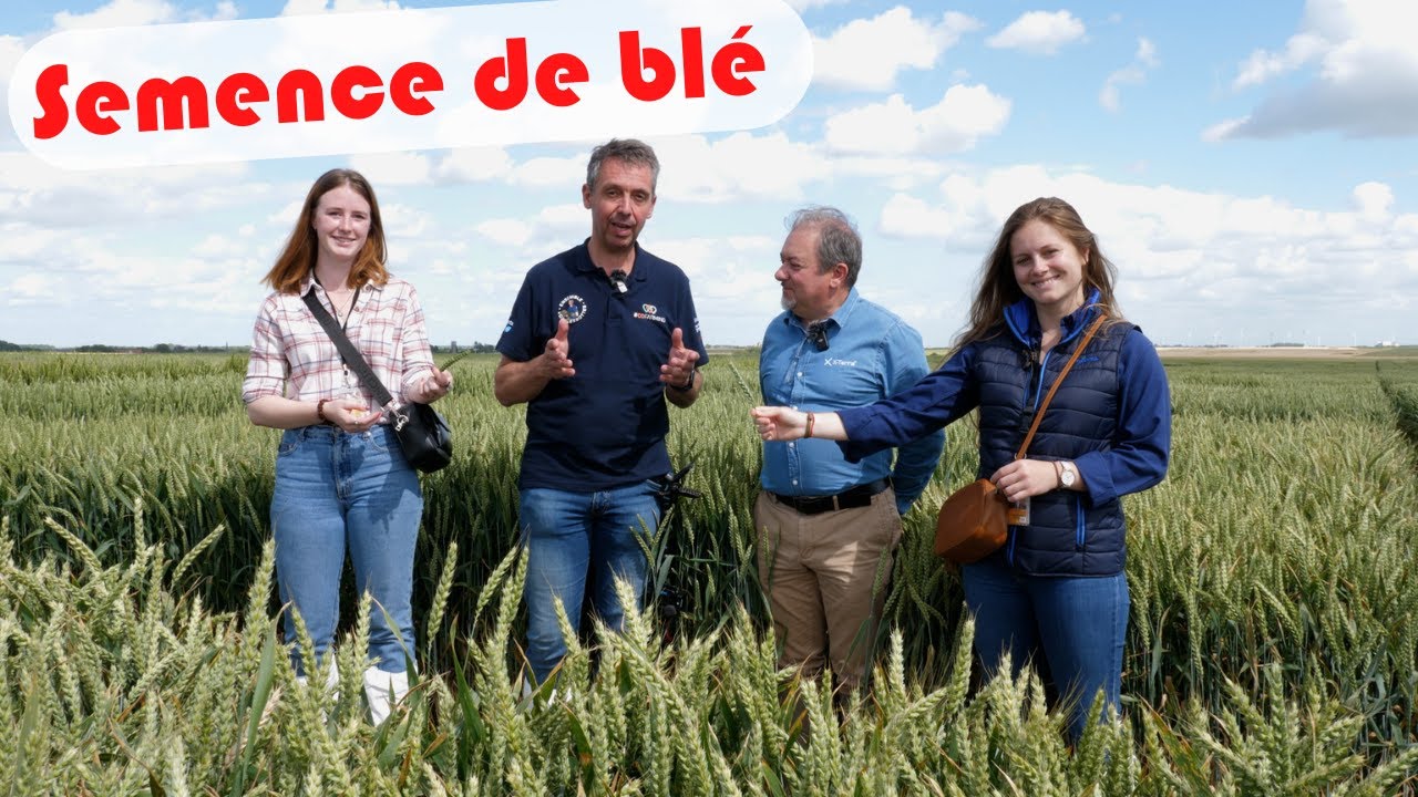 Je découvre la production et la création de semences chez Syngenta #CoFarmingTour