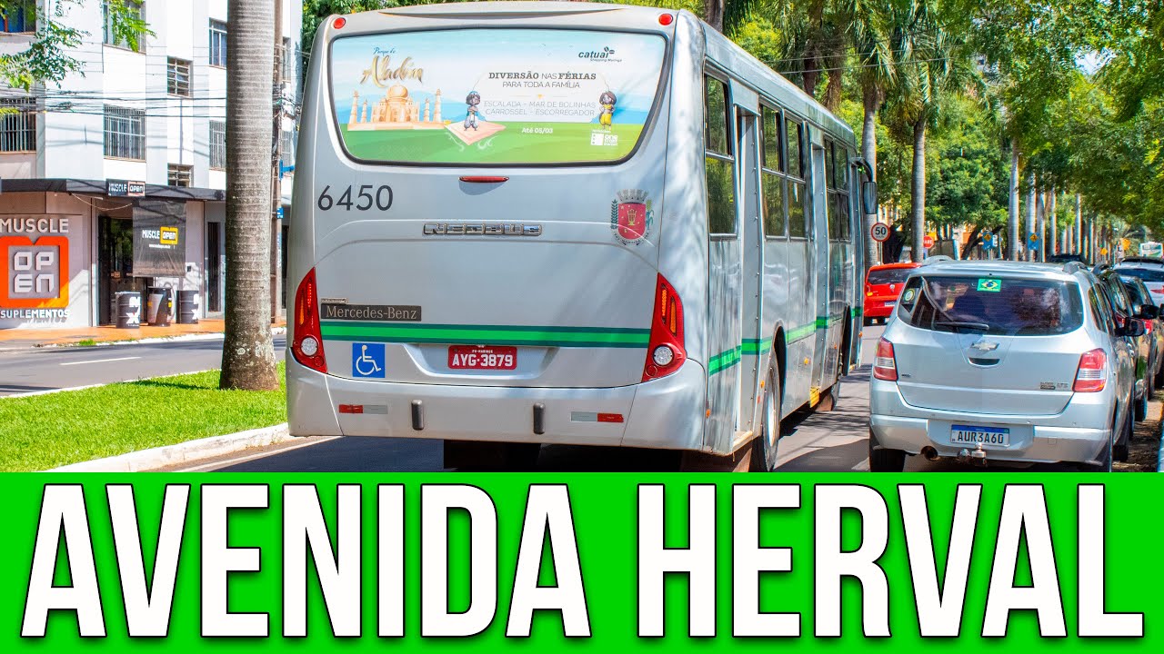 Avenida Herval (Maringá/PR) - Movimentação de Ônibus #764