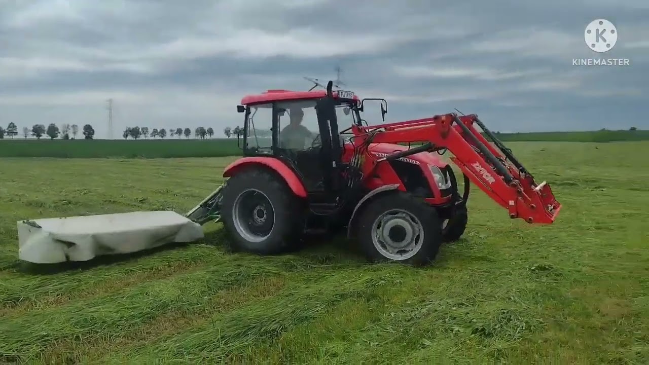 ☘️Sianokosy 2022. Zetor Major 80 & Samasz samba 200.🔥🚜