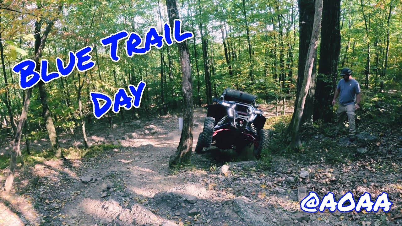 Blue Trail 15 и 19a: выбери свой яд | AOAA