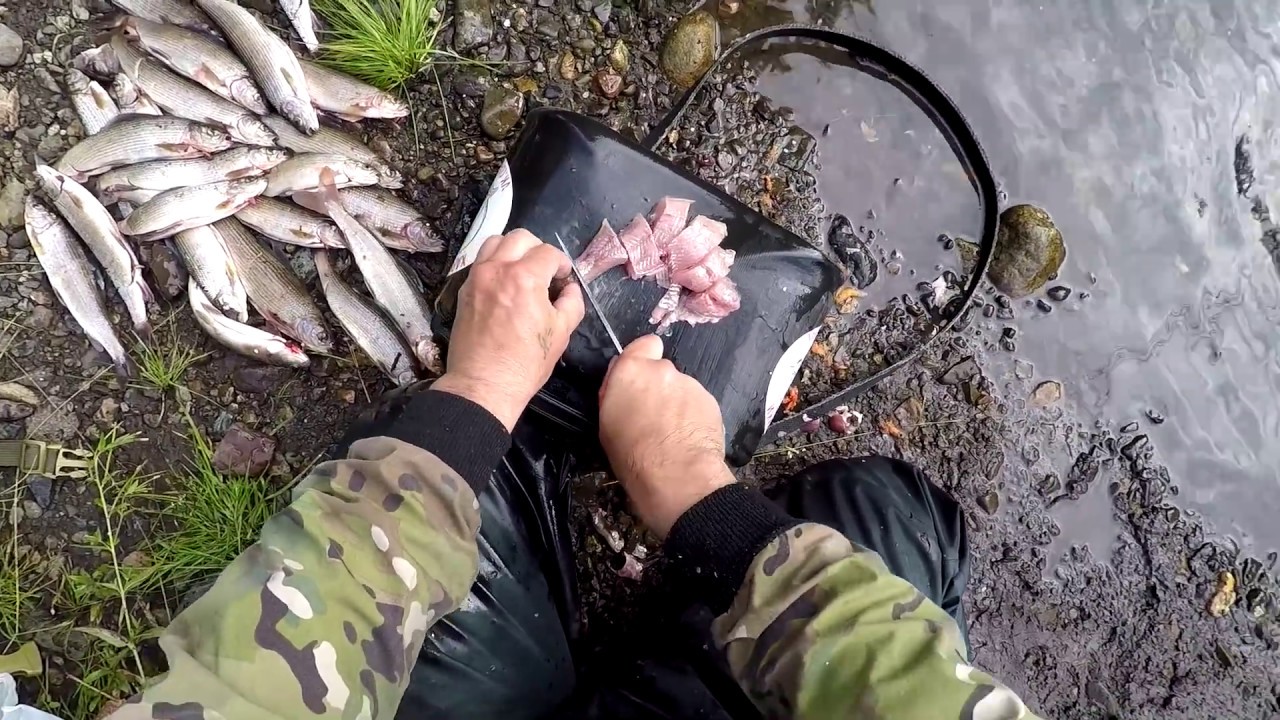 Дикая Речка-четкий клев, Рыбалка на ХАРИУСА-делаю обалденный  ЗАКУСОН  со свежака!!!