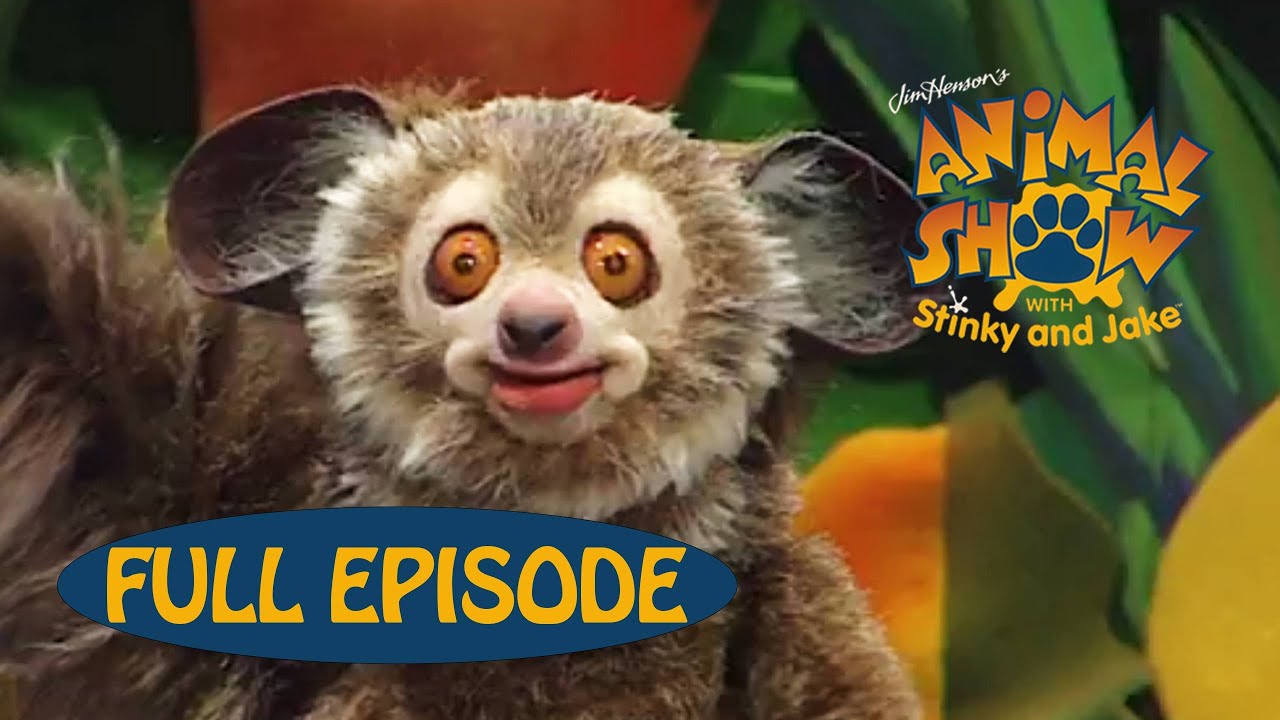 Animal Show | Manatee / Lemur | Jim Henson Family Hub