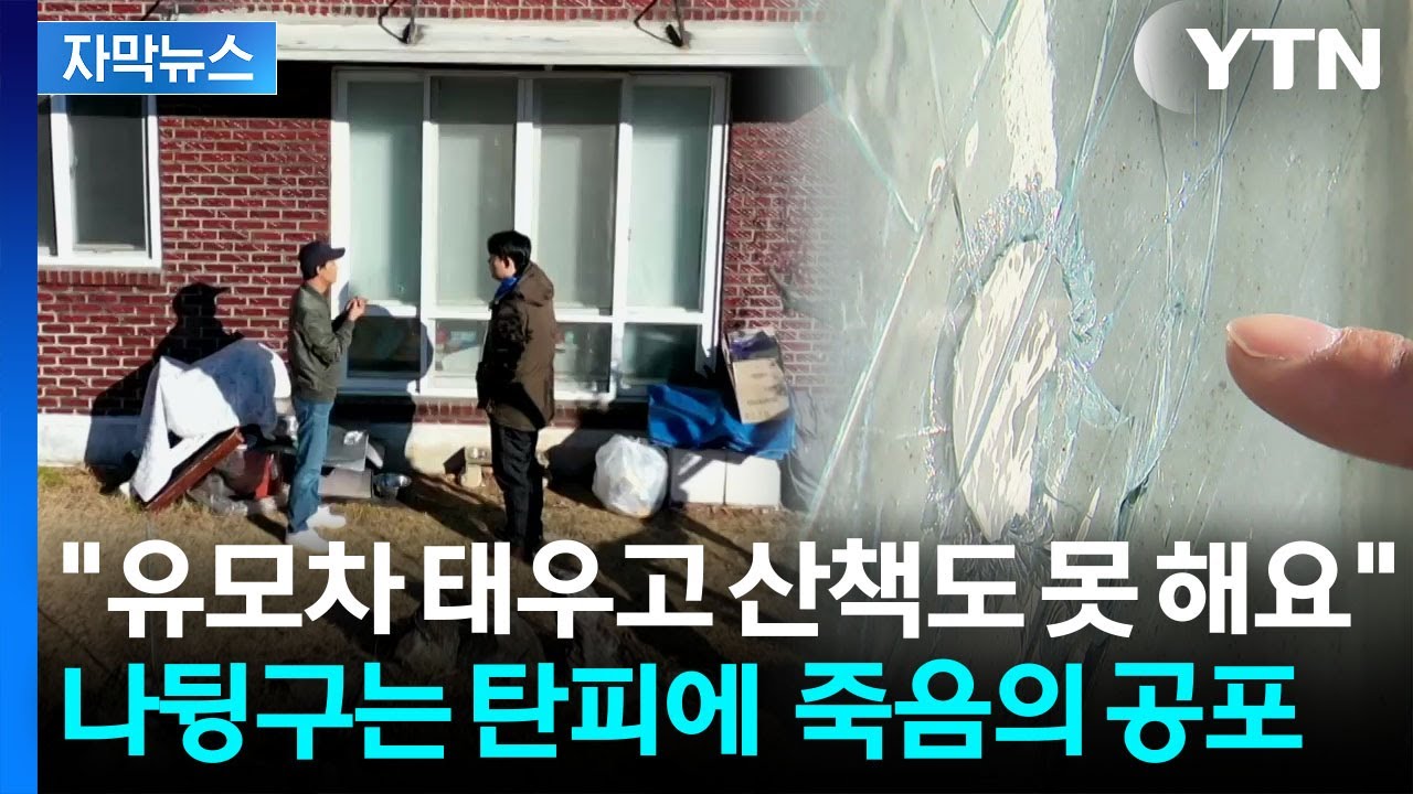 [자막뉴스] 집 코앞서 들린 총성에 '식겁'...이사 결심한 공포의 마을 상황 / YTN