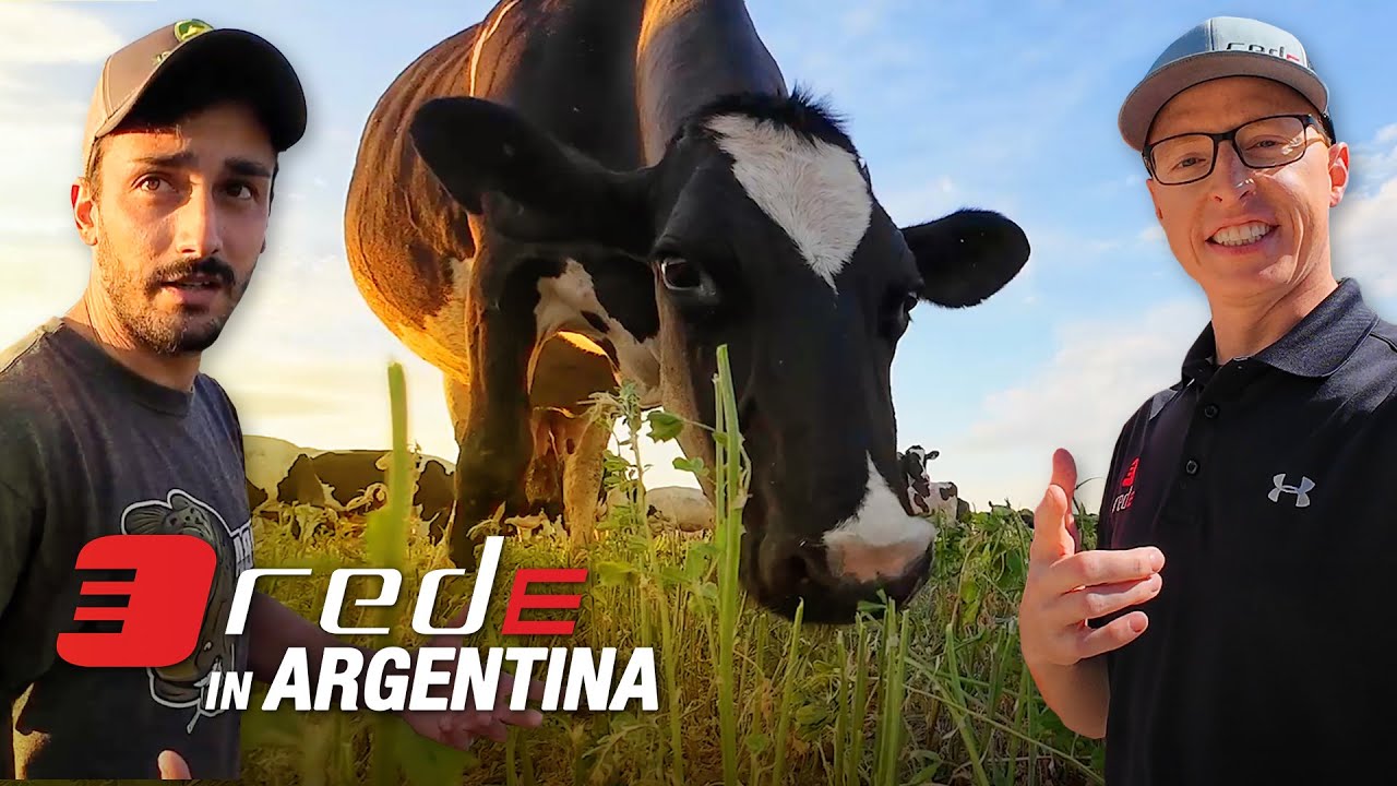 Touring a Dairy Operation in Argentina