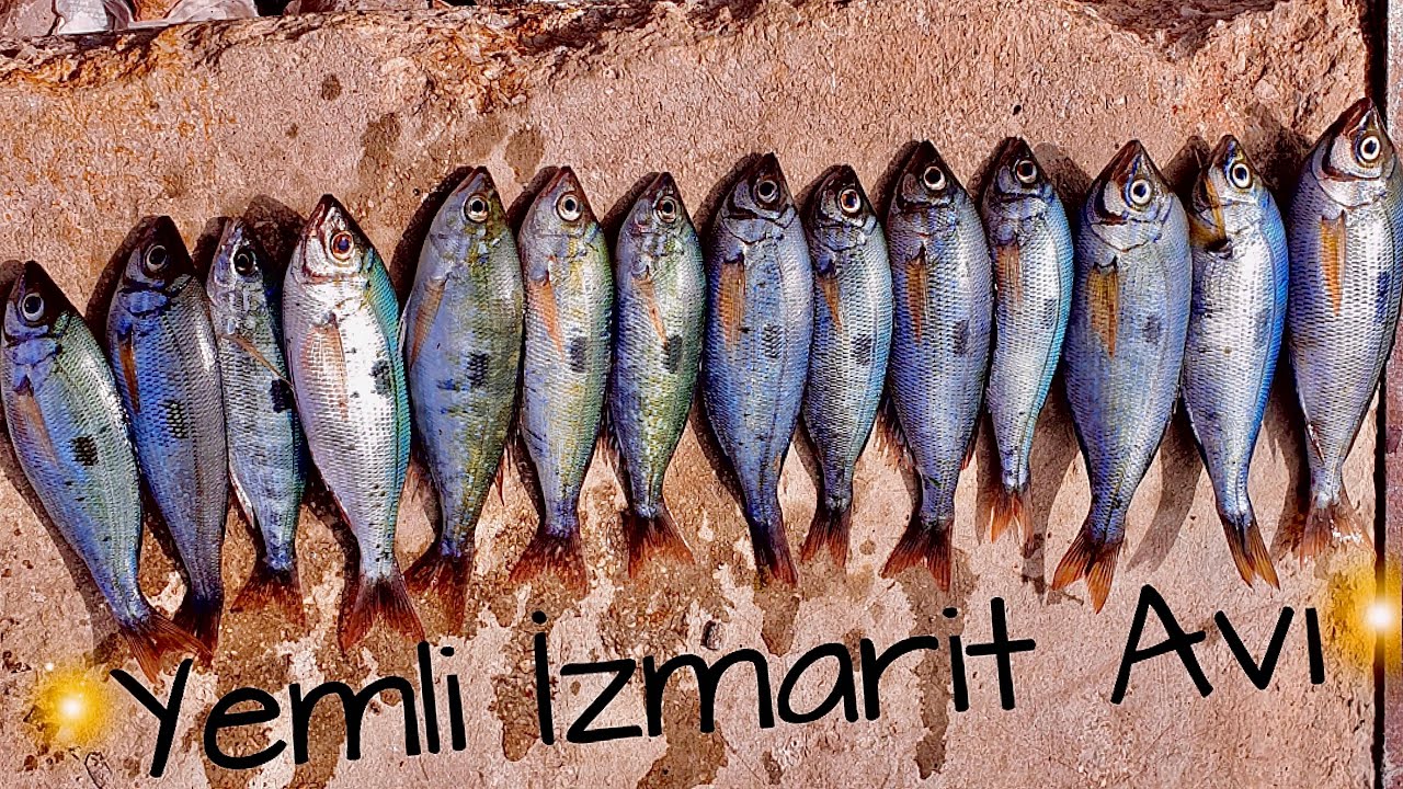 Lüferi Gördük :) İzmariti Tuttuk - Yemli İzmarit Avı
