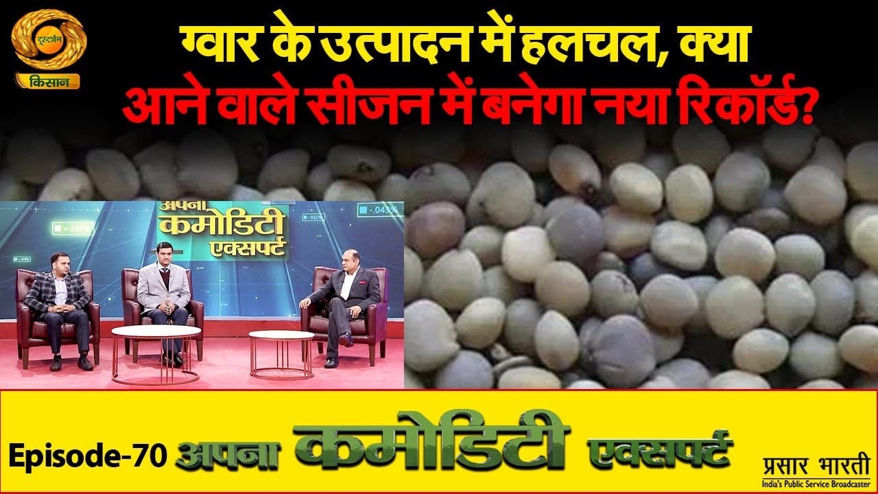 Apna Commodity Expert: ग्वार के उत्पादन में हलचल, क्या आने वाले सीजन में बनेगा नया रिकॉर्ड?|DD Kisan