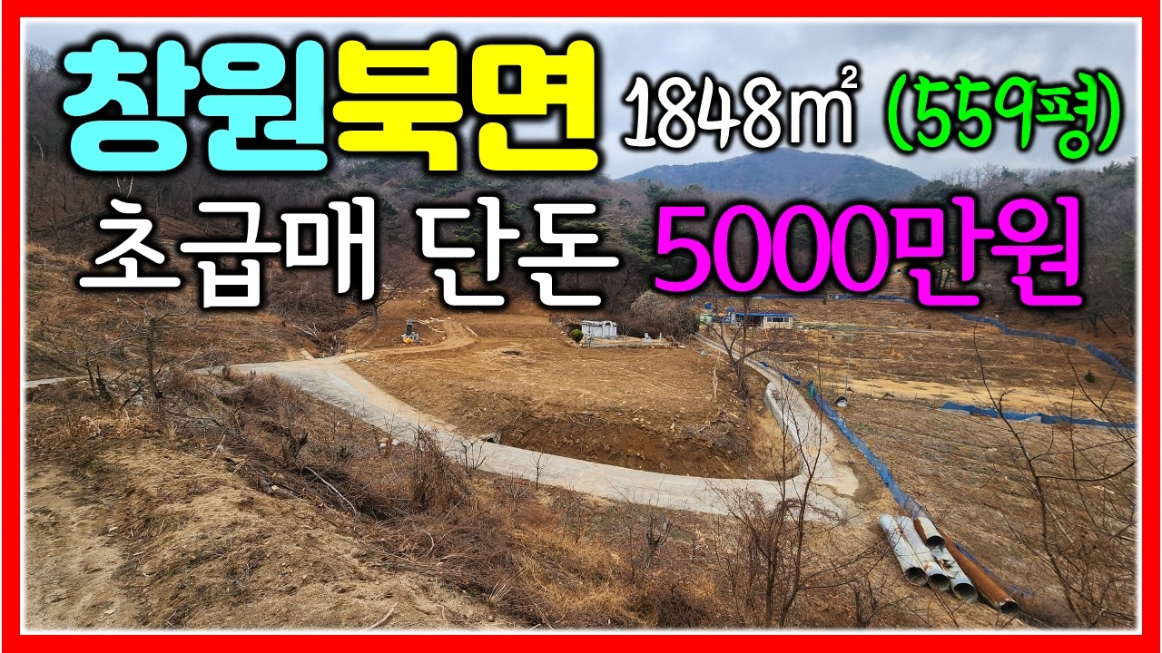 창원 북면땅 7000만원 초초급매 1848㎡ (559평) #창원북면주말농장 #창원북면텃밭 #땅삼촌
