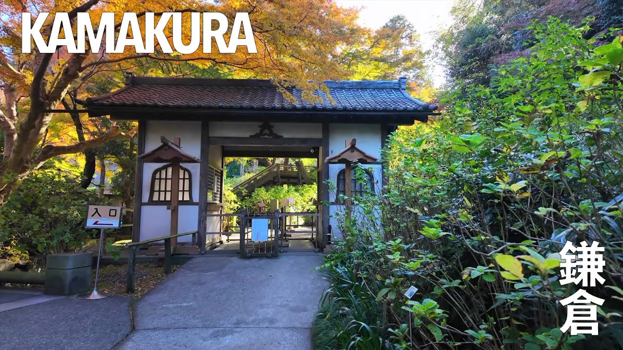 北鎌倉 | Late Fall Walk Through Kita-Kamakura
