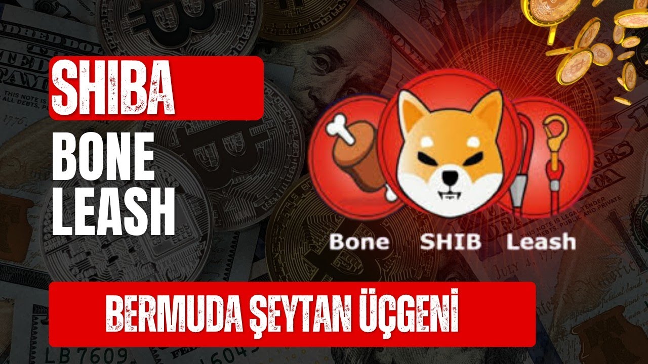 SHİBA & BONE & LEASH DOLANDIRICILIĞI #shiba #bone #leash #shibainu #shibainucoin #bonetoken #bitcoin