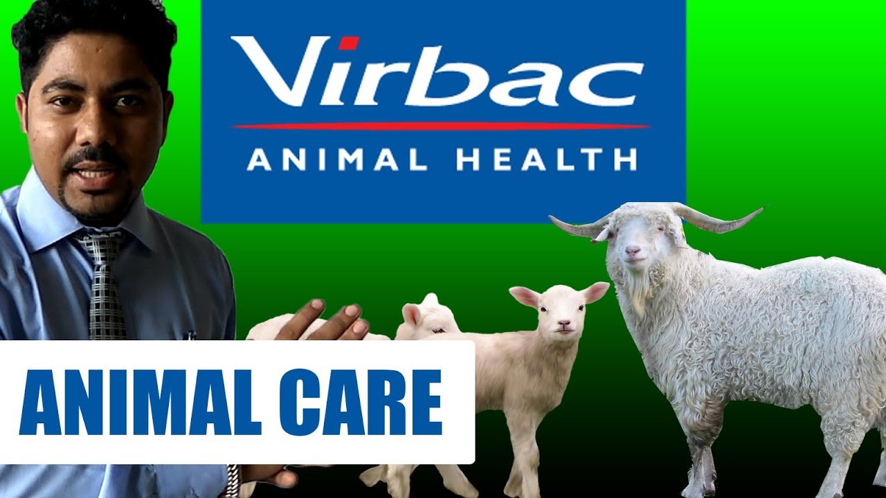 RK Goat Farm & VIRBAC Medication Animal Health INFORMATION Cattle Farming
