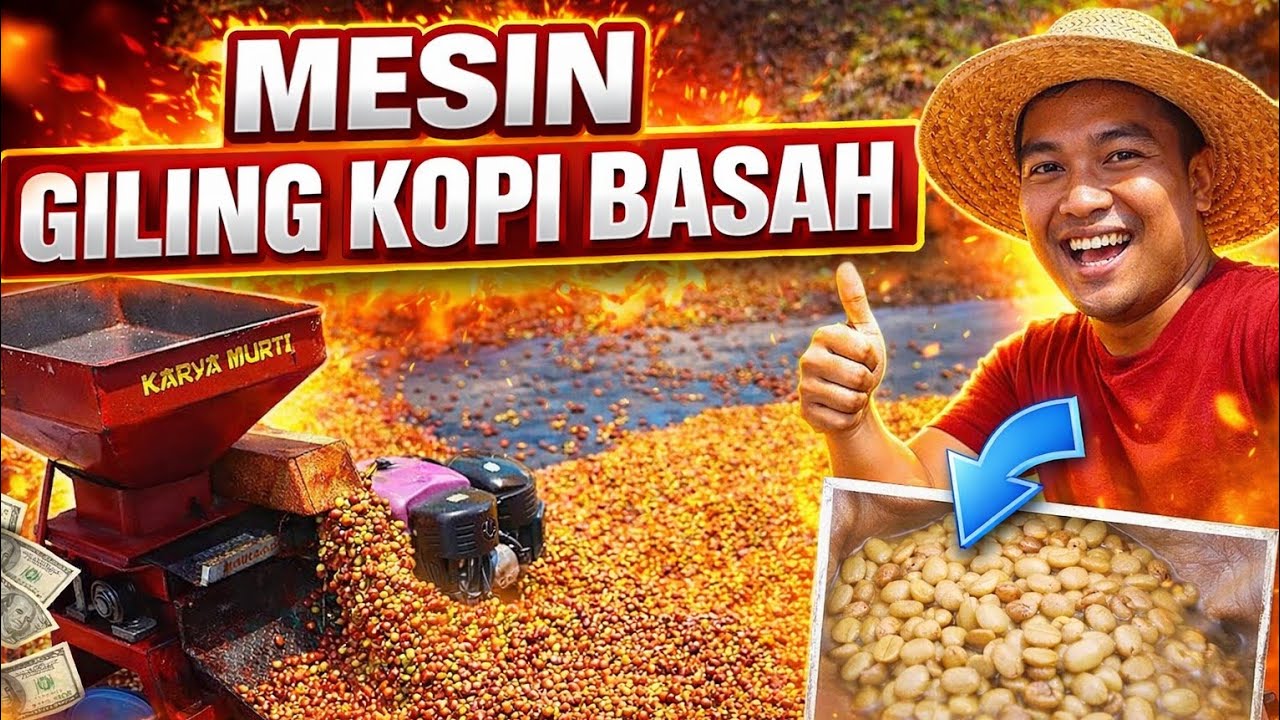 ❤️‍🔥Mesin Giling Kopi Basah! Modal Kecil, Untung Besar di 2026?!