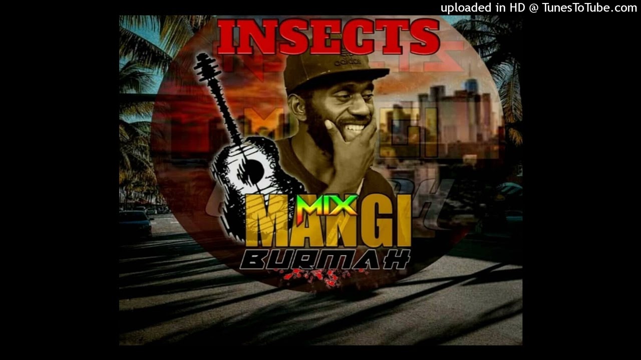 Mix Burmah-Insects Band X Frayzer