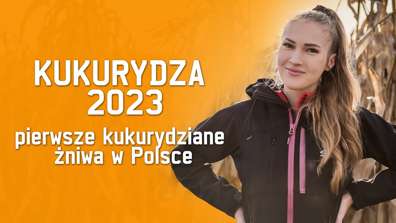 Pierwsze żniwa 2023 kukurydzy w Polsce. GR Załoga