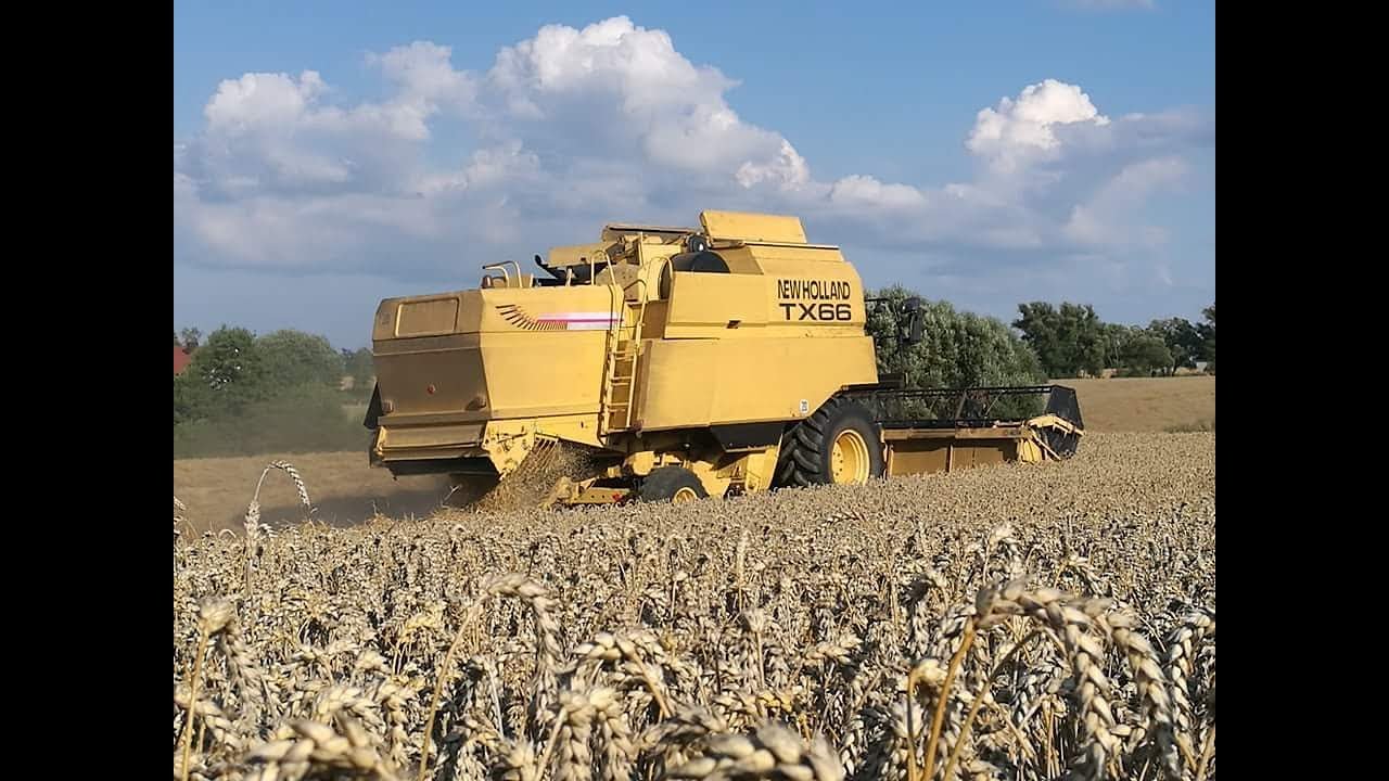 ☆Żniwa 2018☆Pszenica Ozima☆New Holland tx66☆Ursus 1614☆Star 200☆
