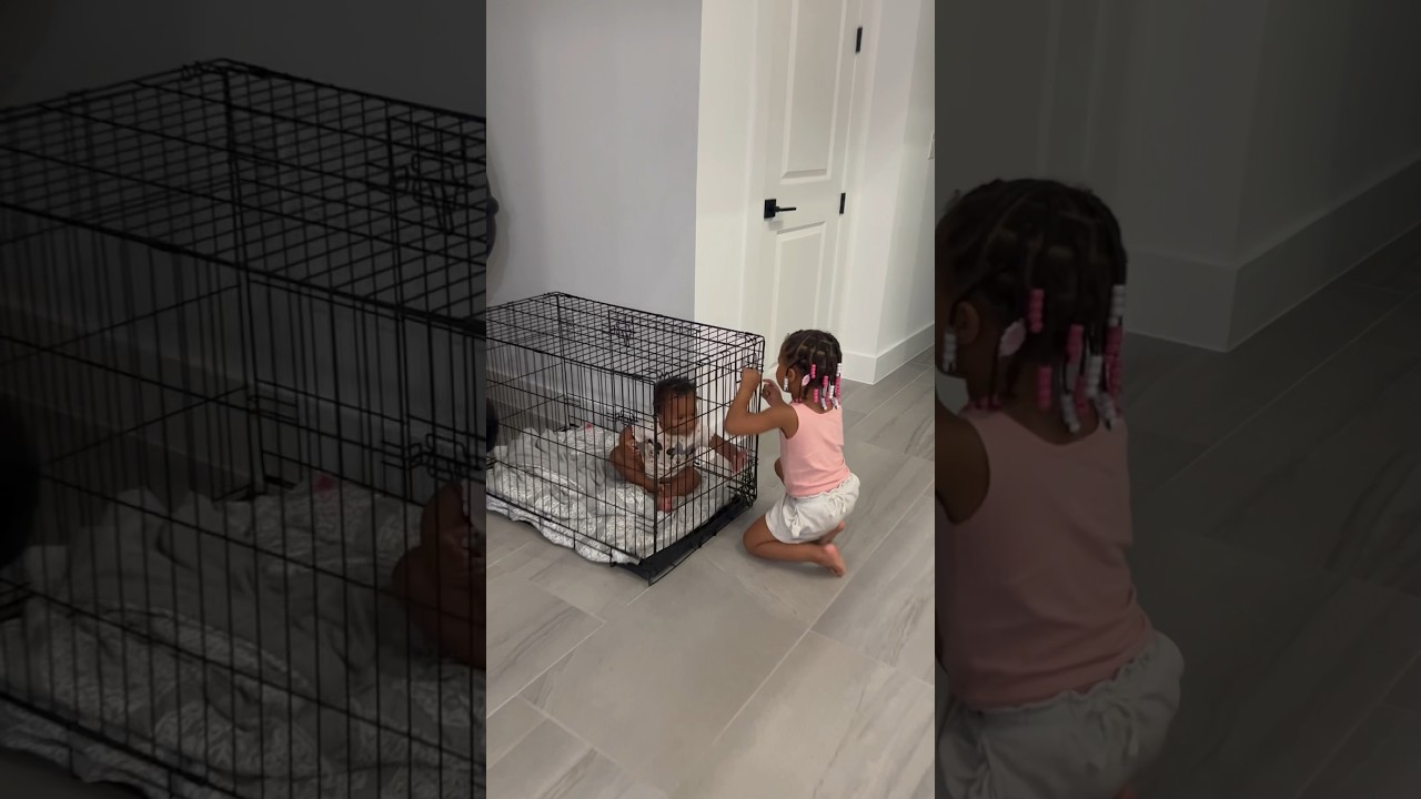 Dad catches Daughter Locking Sister In Dog Cage 