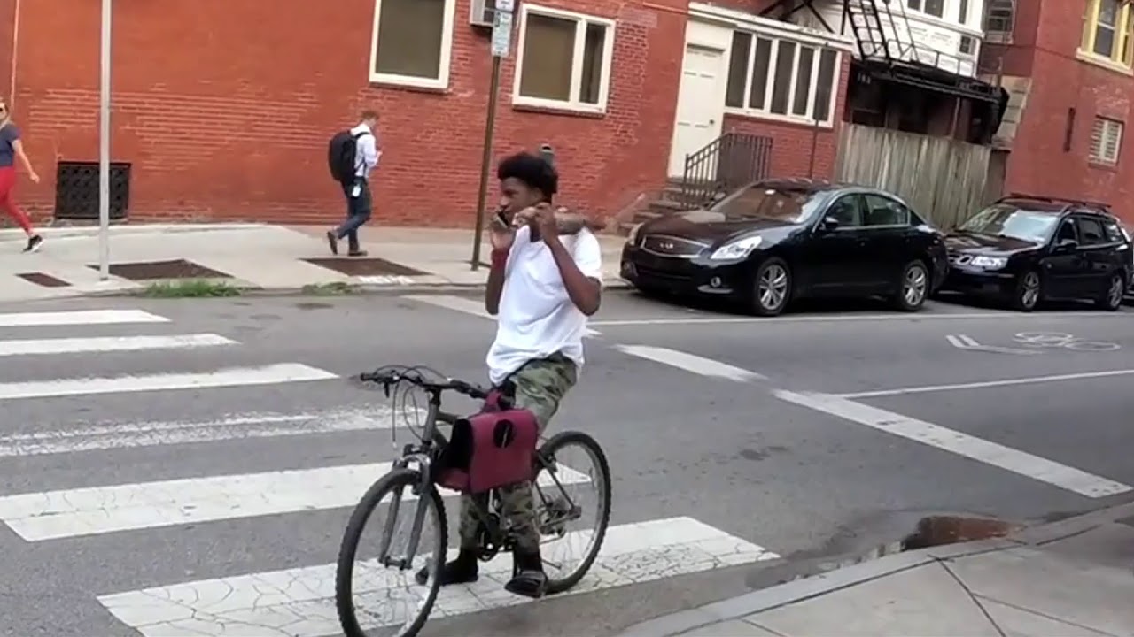 Transporting Your Ferret By Bike