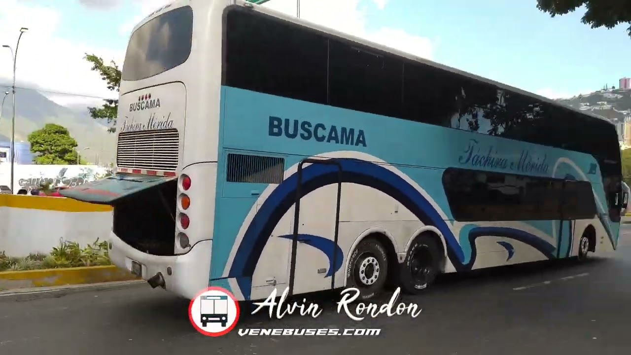👾Un estilo diferente💉Team Venebuses💎