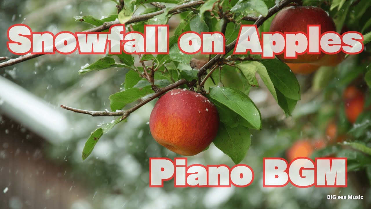 Snowfall on Apples with Piano BGM