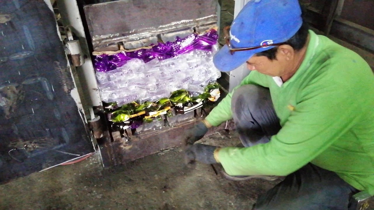 เครื่องอัดขวดพลาสติกแนวตั้ง​ 40​ กก.