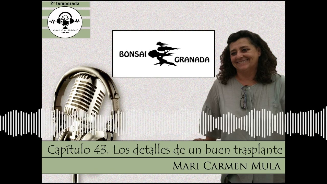 Capítulo 43.- Los detalles de un buen trasplante. Mari Carmen Mula