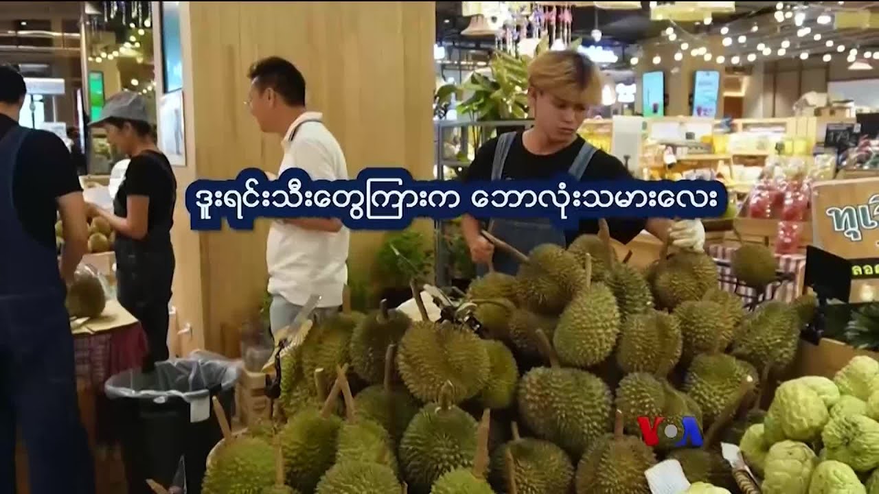 ဒူးရင်းသီးကြားက ဘောလုံးသမား “နေရာပေါင်းစုံ၊ အကြောင်းစုံ”