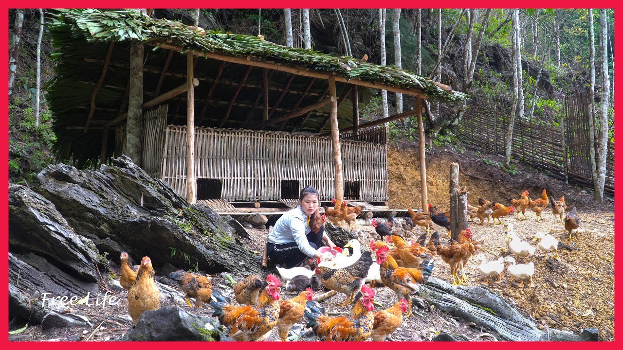 Roofing of chicken coops and duck, ASMR in nature. Building farm, free life (ep57)