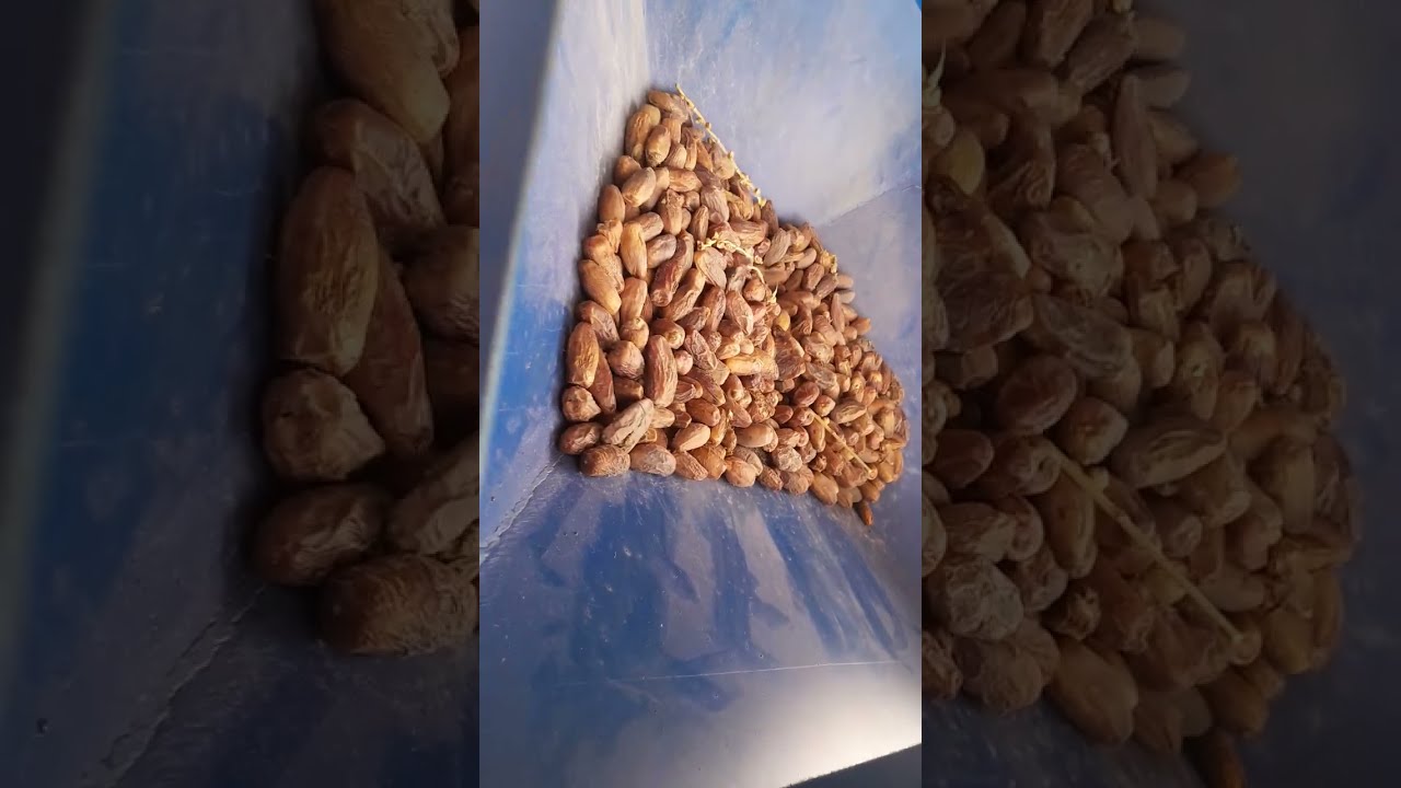 مامانو لآلات الرحي ولاية تقرت 0667366139 واتساب +213667366139