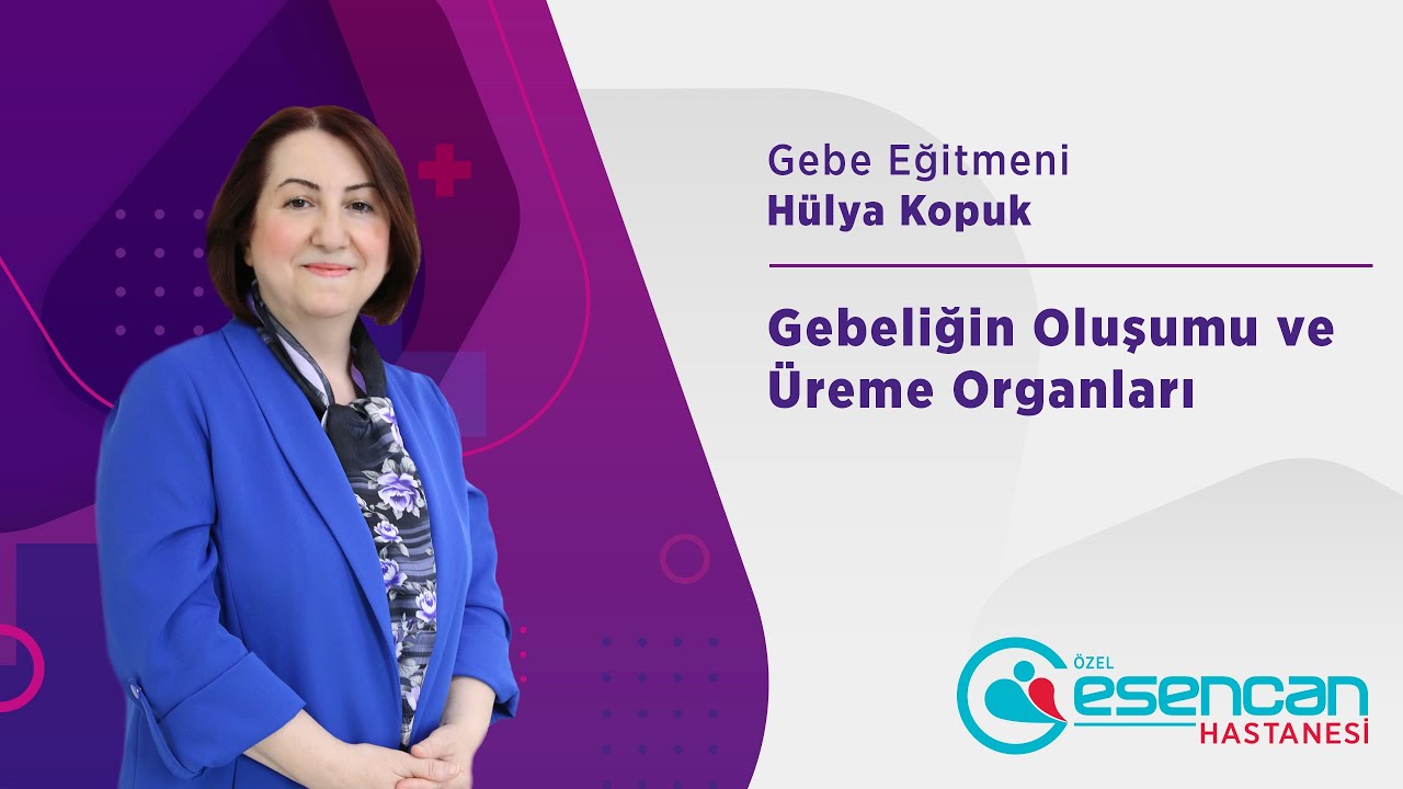 3.Bölüm Gebelikte Salgılanan Hormonlar ve Etkileri  | Özel Esencan Hastanesi