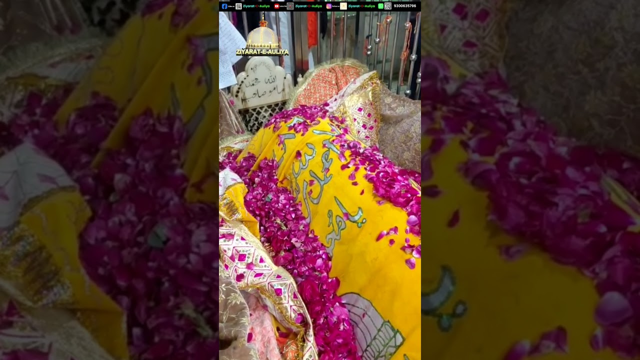 हज़रत मामू साहब की जियारत | सरवाड़ शरीफ उर्स मुबारक
