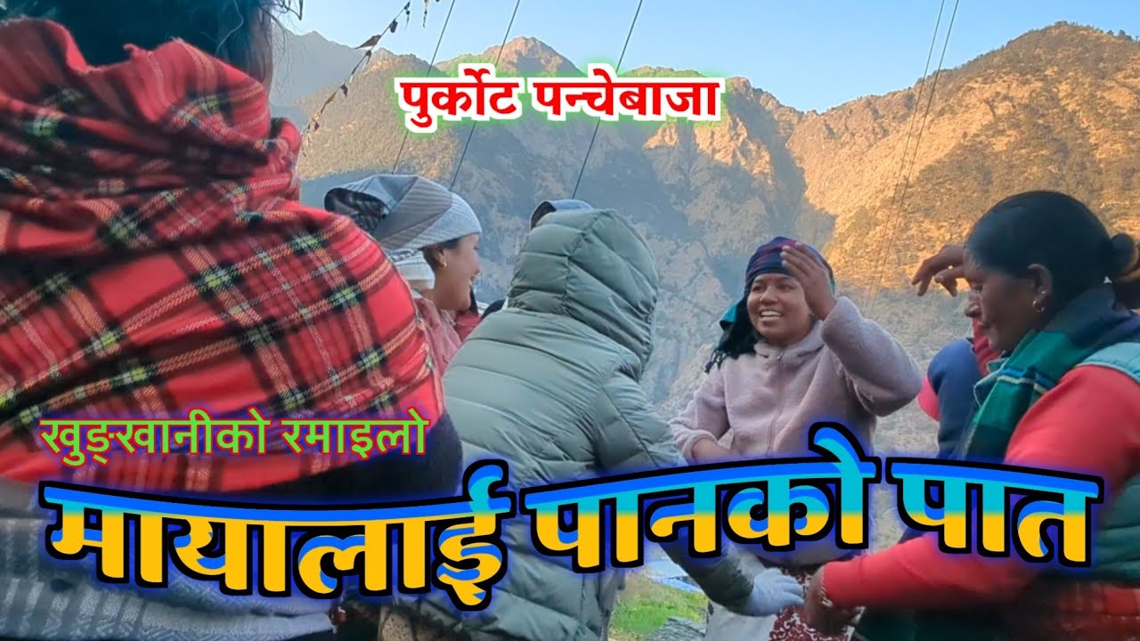 मायालाई पानको पात purkot panchebaja 