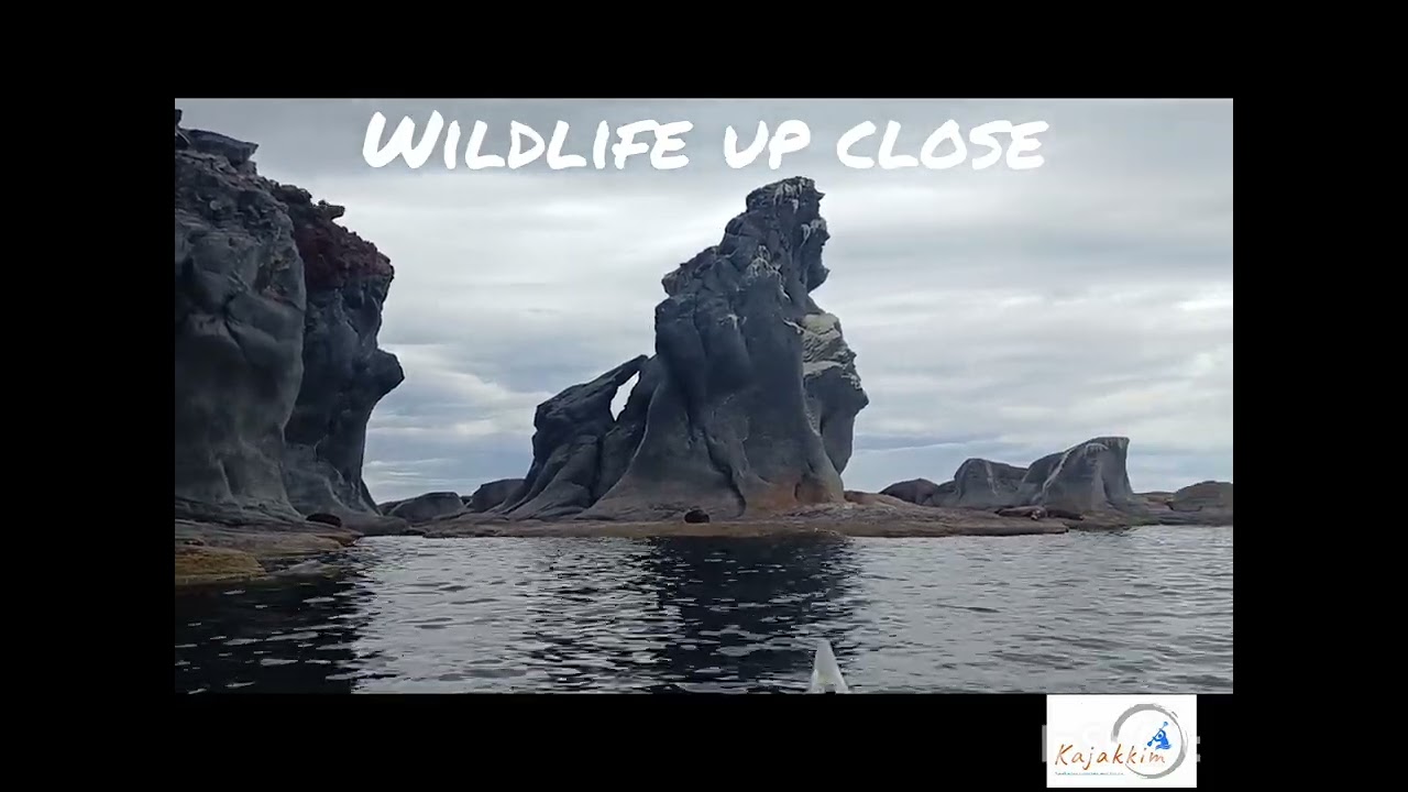 Kayaking in Baja California Sur