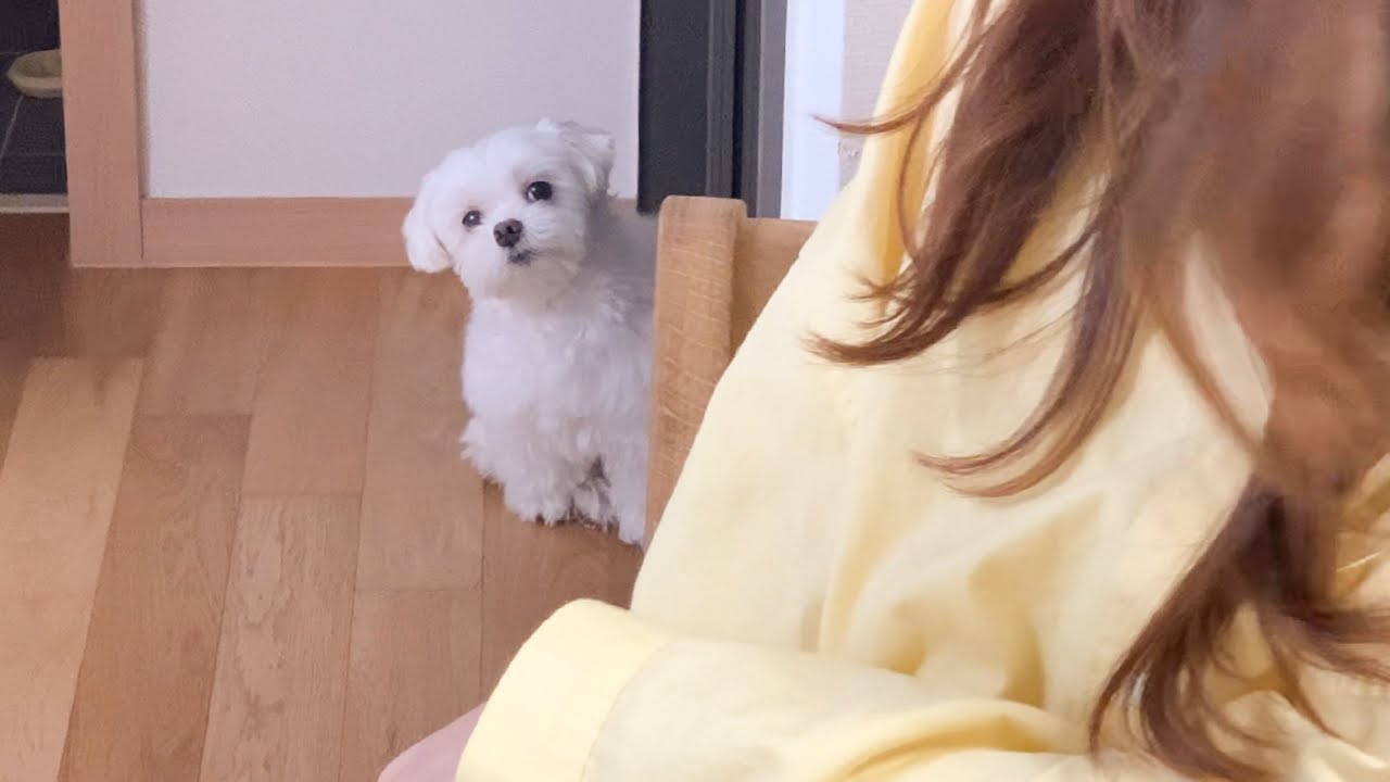 누나 이제 그만 집에 가자