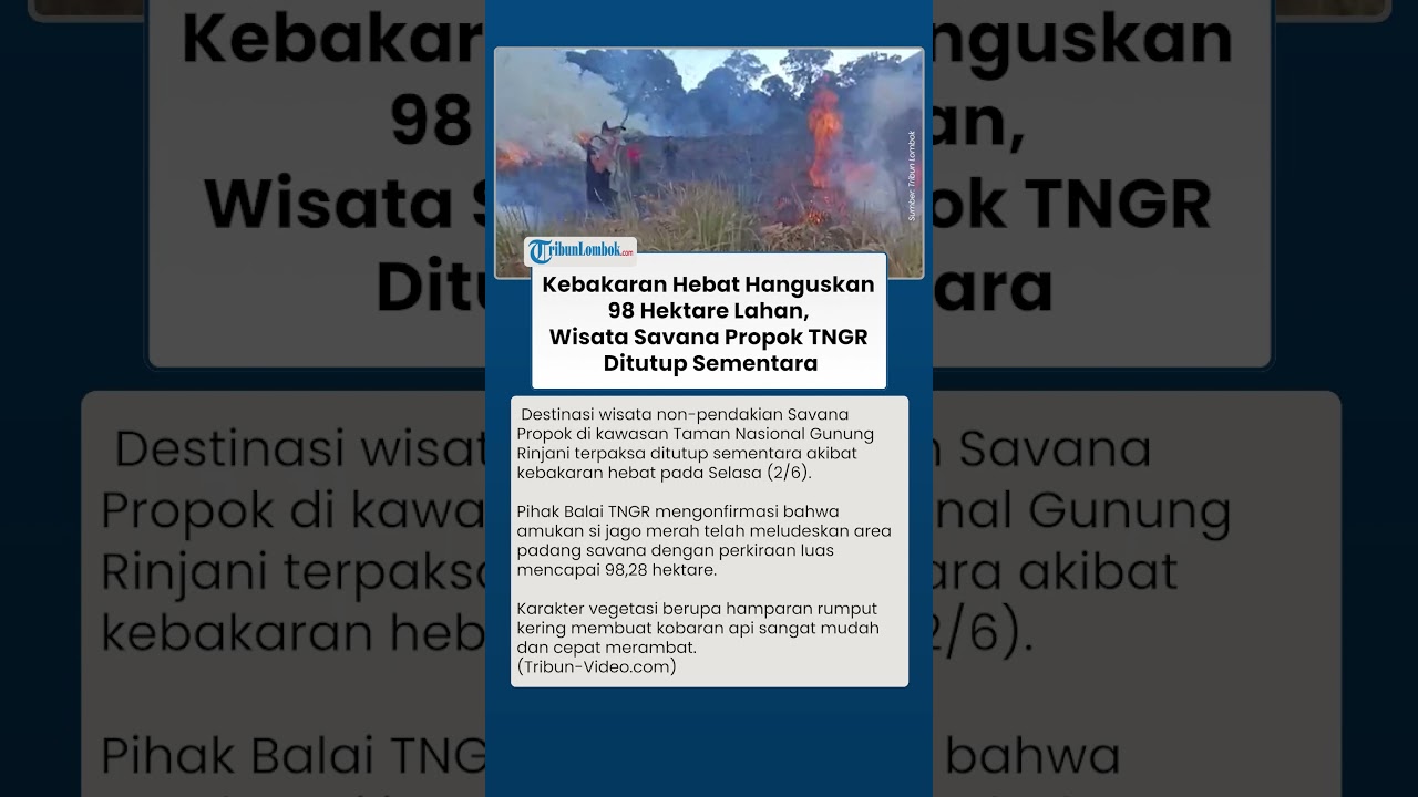 Kebakaran Hebat Hanguskan 98 Hektare Lahan, Wisata Savana Propok TNGR Ditutup Sementara