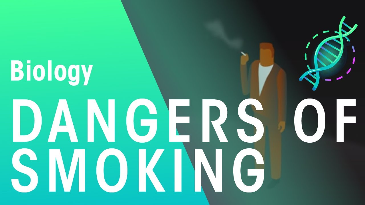 Dangers of smoking | Health | Biology | FuseSchool